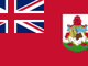 Selected country flag