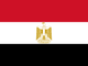 Selected country flag