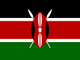 Selected country flag