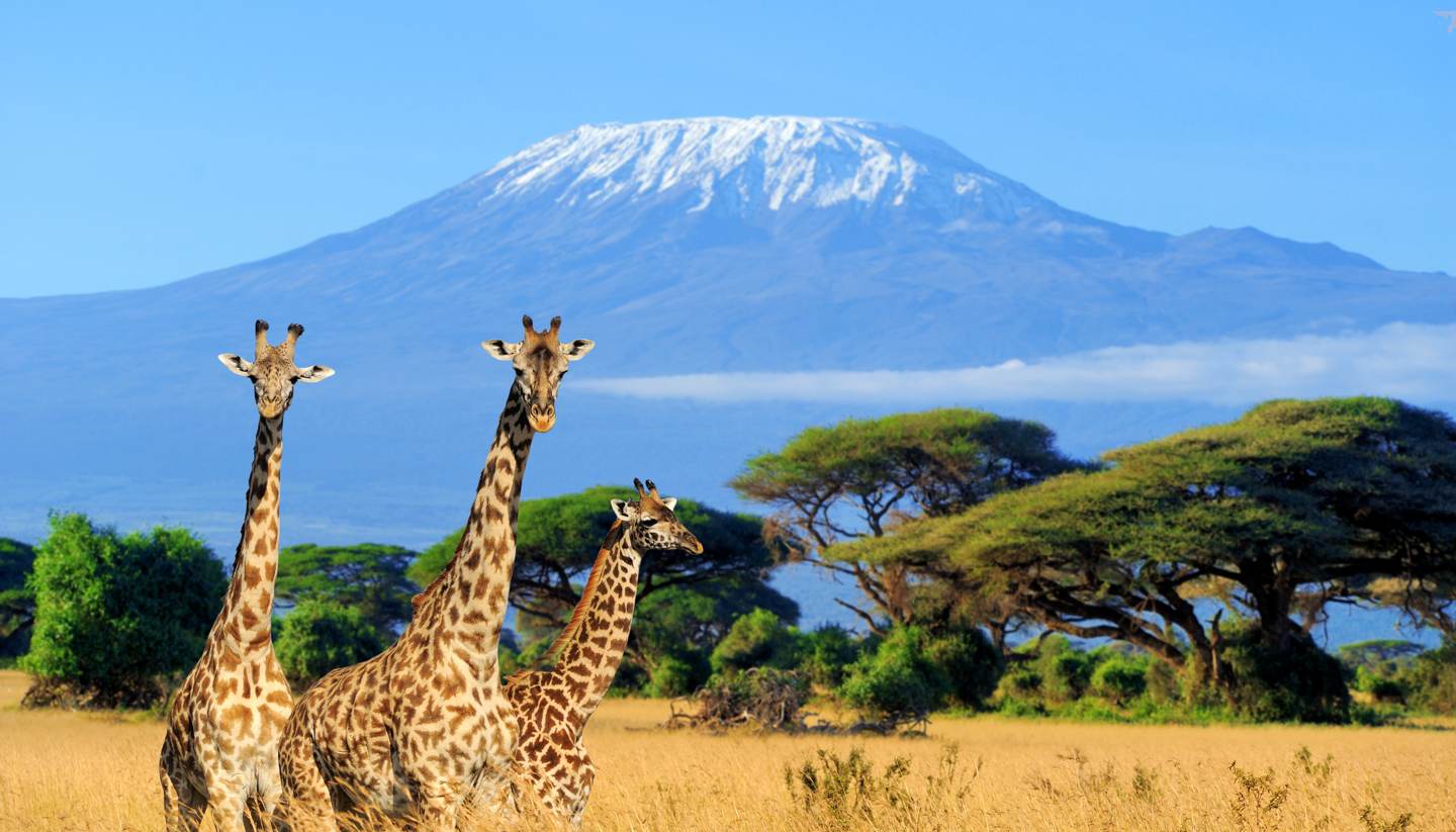 Kenya eTA: Everything You Need to Know