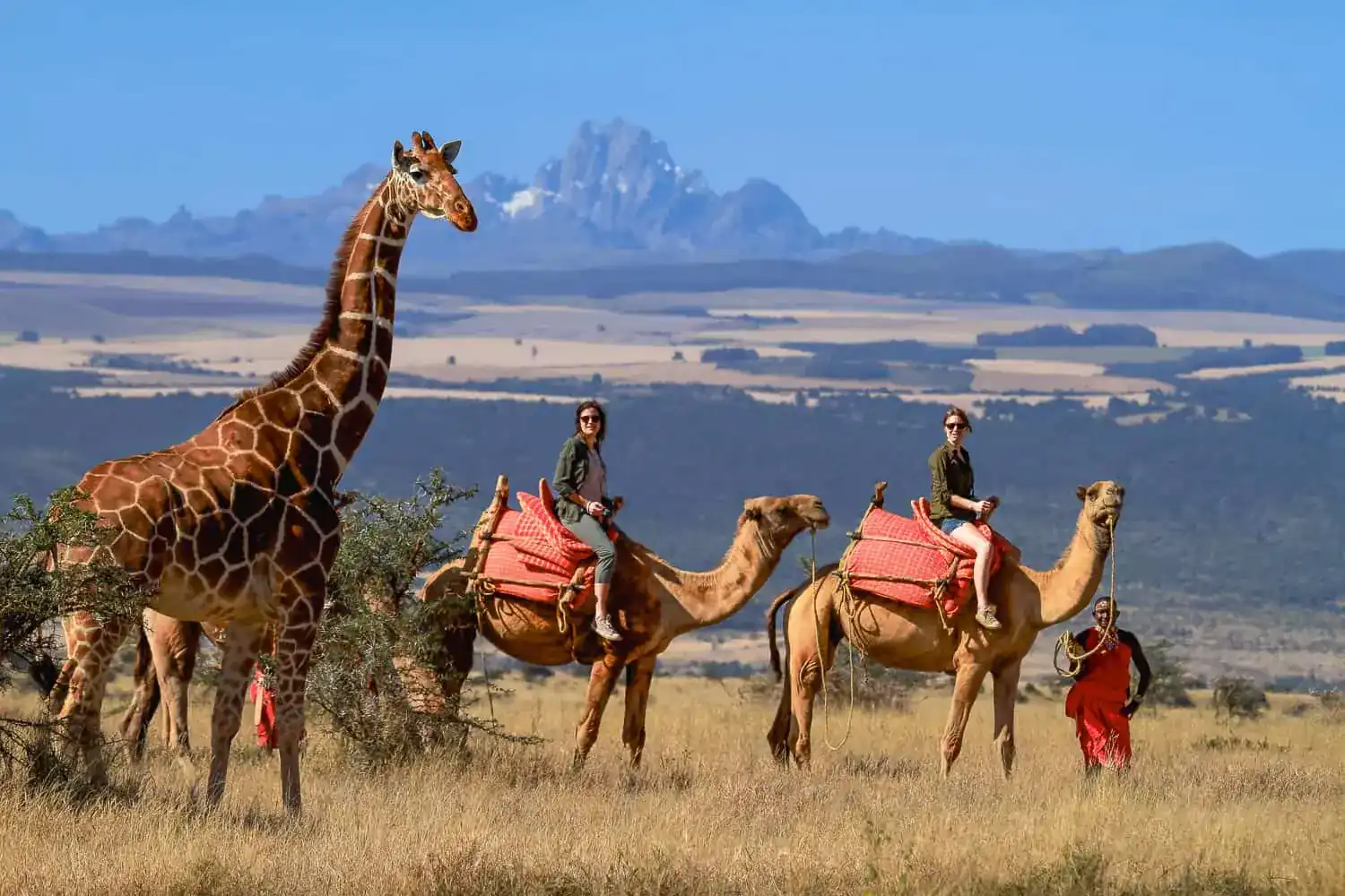 Your trip to Kenya starts here
