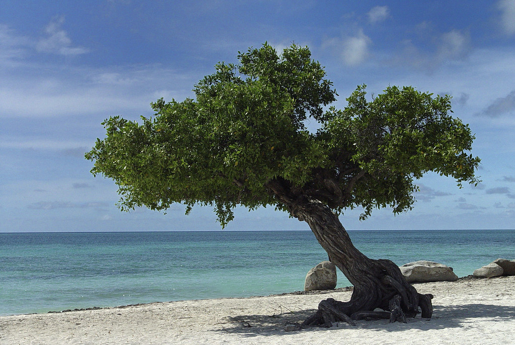 Oranjestad