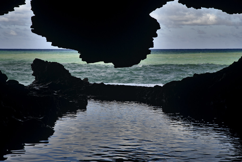 Animal Flower Cave