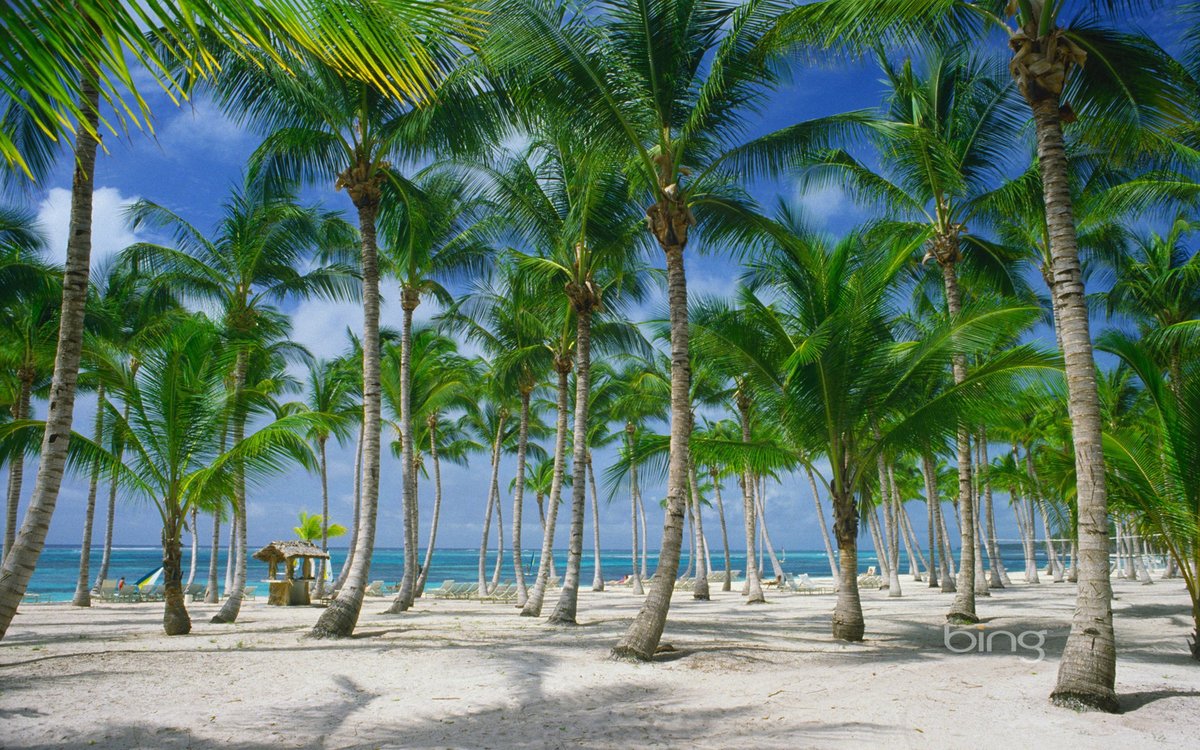 Punta Cana