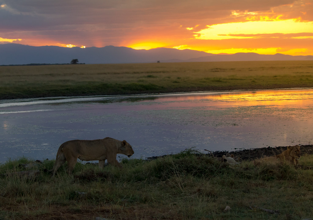 Amboseli Nationalpark