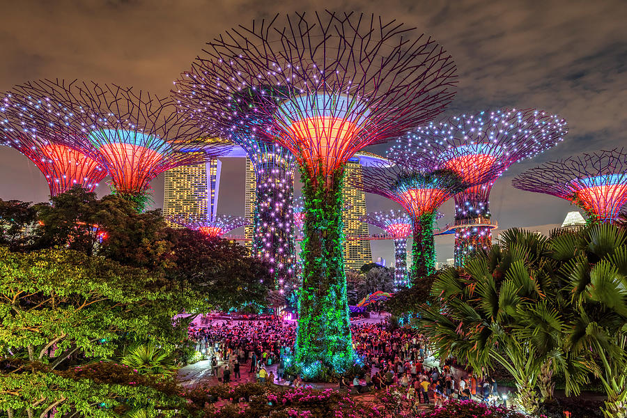 Gardens by the Bay